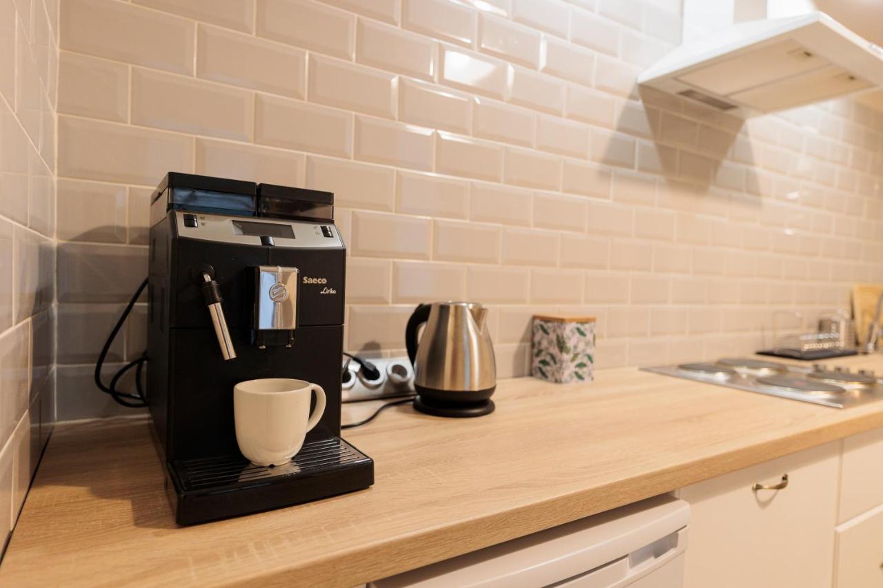Cozy Apartment In The Historical City Center Тимишоара Екстериор снимка