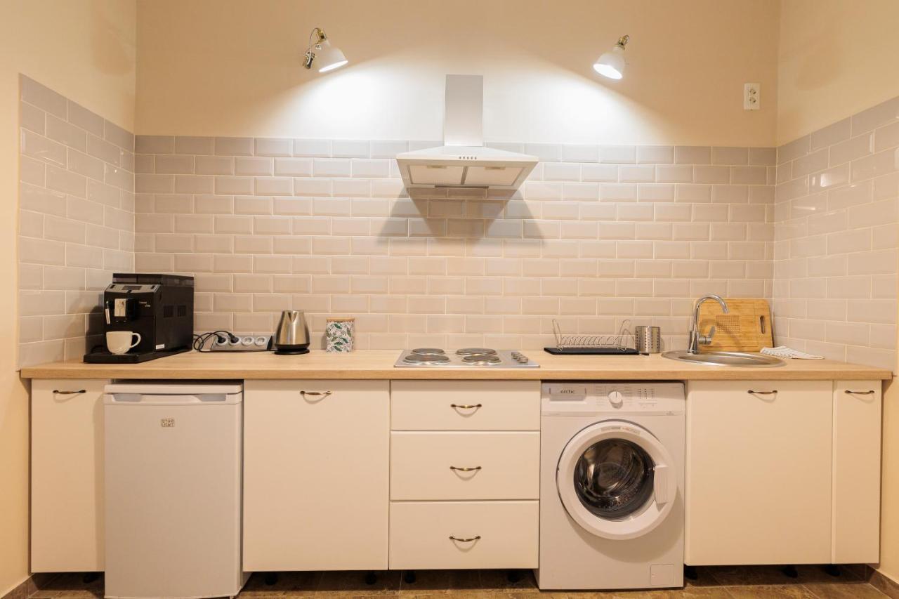 Cozy Apartment In The Historical City Center Тимишоара Екстериор снимка