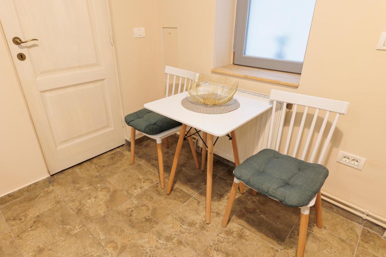 Cozy Apartment In The Historical City Center Тимишоара Екстериор снимка