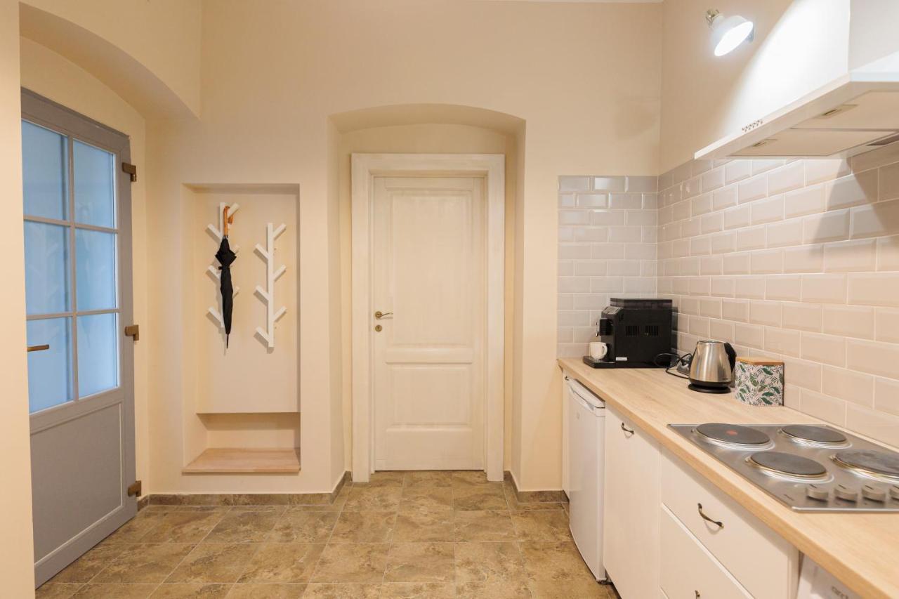 Cozy Apartment In The Historical City Center Тимишоара Екстериор снимка